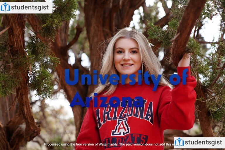 University of Arizona